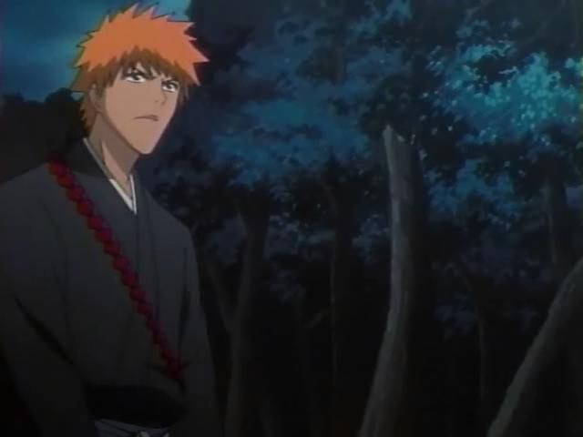 Otaku Gallery  / Anime e Manga / Bleach / Screen Shots / Episodi / 095 - Byakuya prende il campo - Ballo del vento dei fiori di ciliegio / 179.jpg